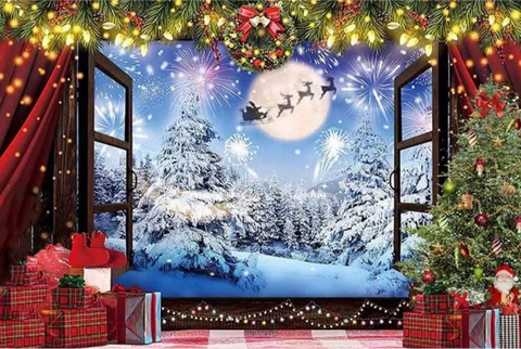 Christmas Photo Backdrop